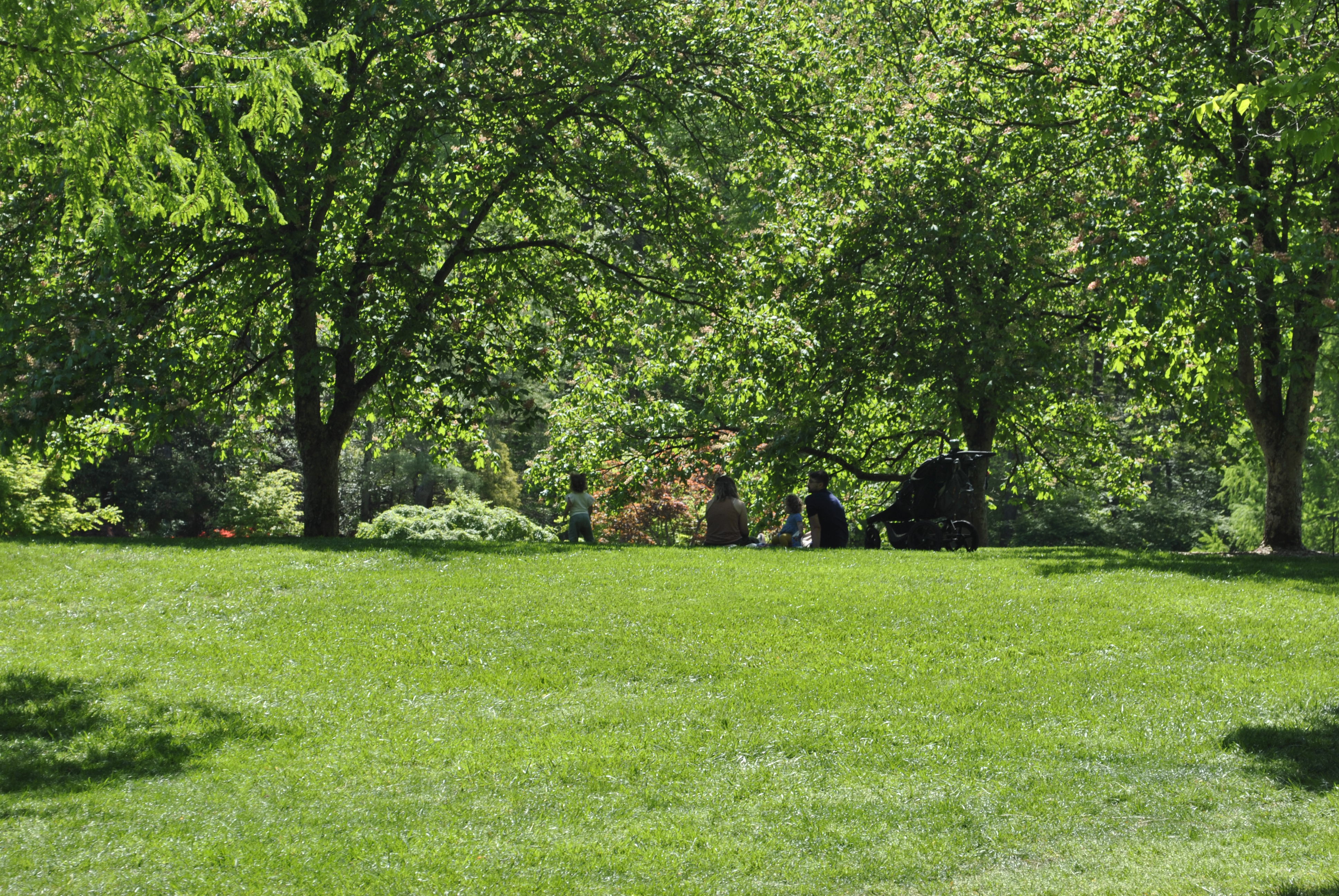 Brookside Gardens
